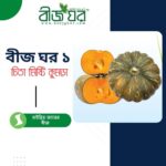 হাইব্রিড চিতা মিষ্টি কুমড়া বীজ - বীজ ঘর ১