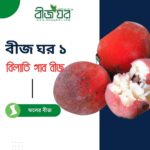 বিলাতি গাব গাছের বীজ