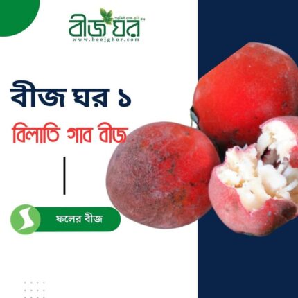 বিলাতি গাব গাছের বীজ